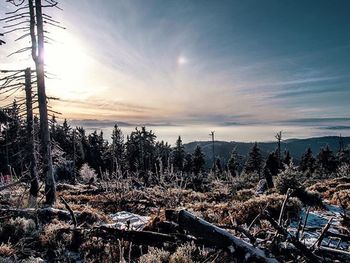 Scenic view of sea against sky at sunset