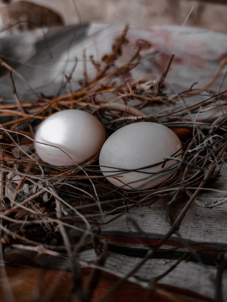 HIGH ANGLE VIEW OF EGGS IN NEST ON FIELD