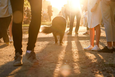 Low section of people with dogs