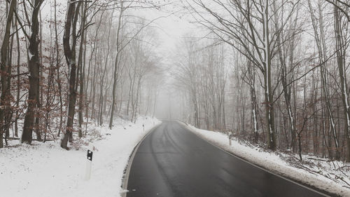 Snow covered road amidst bare trees during winter