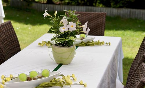 Close-up of flower plant on table