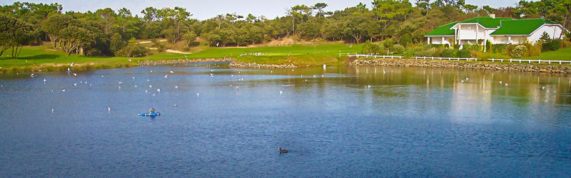 Scenic view of lake against trees