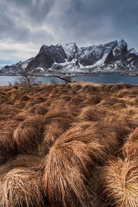 Dried grassy field by river with mountains in background