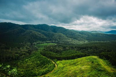 Scenic view of agricultural landscape against sky