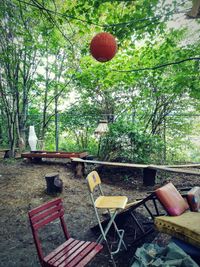 Chairs and table against trees