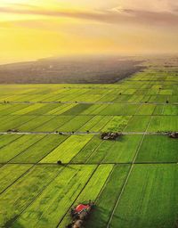 Scenic view of field against sky at sunset