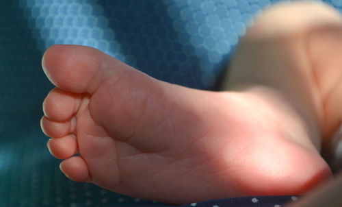 Low section of baby feet