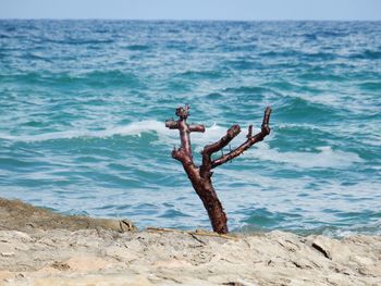 Driftwood on beach by sea against sky