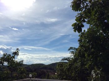 Trees on landscape against sky