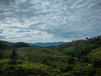 Scenic view of landscape against sky