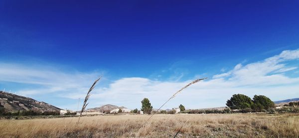 Scenic view of land against blue sky