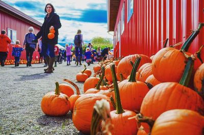 Close-up of pumpkins for sale at market