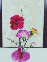 Close-up of pink flowers