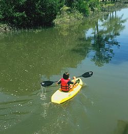 Rear view of men sitting on boat in river