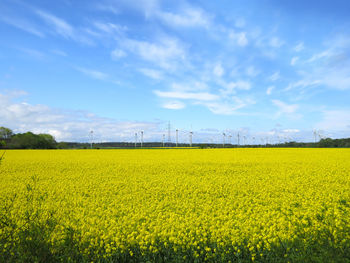 Scenic view of oilseed rape field against sky with wind turbines