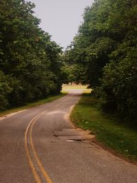 Empty road along trees