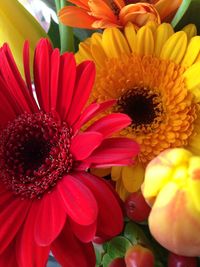 Close-up of red flowers