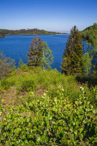 Scenic view of lake against clear blue sky