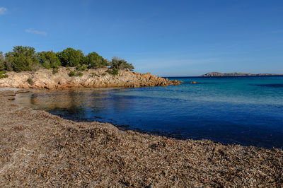 Scenic view of sea against blue sky