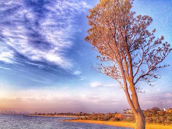 Scenic view of landscape against cloudy sky