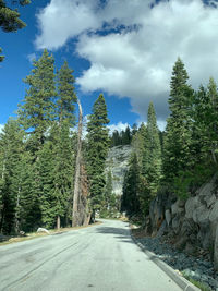 Road amidst trees in forest against sky