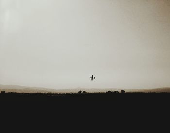 Silhouette of bird flying over landscape