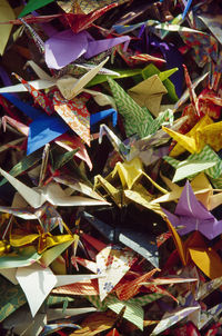 Close-up of multi colored paper