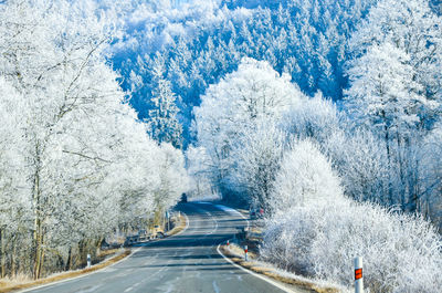 Snow covered road amidst trees during winter