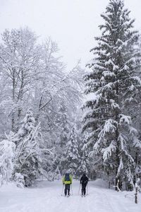 Rear view of people on snow covered land