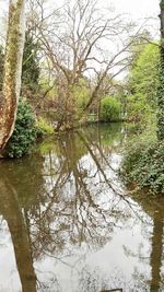 Reflection of trees in lake against sky