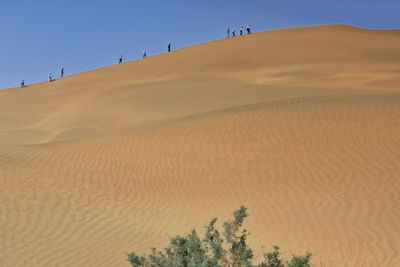 Scenic view of desert against clear sky