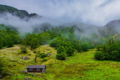 Scenic view of forest against sky