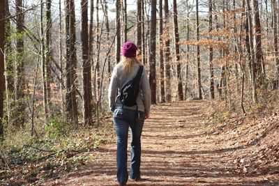 A walk in the woods