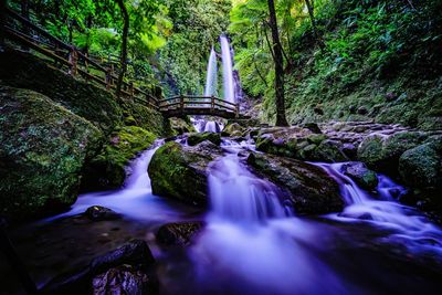 Scenic view of waterfall in forest