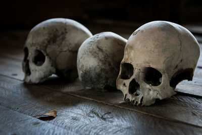 Close-up of human skulls on wooden table