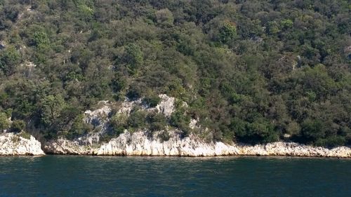 Scenic view of sea and trees