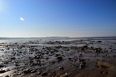 Scenic view of beach against clear sky