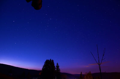 Low angle view of silhouette trees against blue sky at night