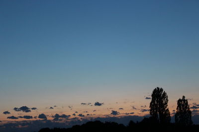 Silhouette trees against clear sky during sunset