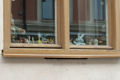 View of birds on window sill