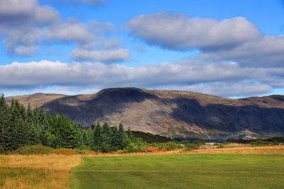 Scenic view of field against sky