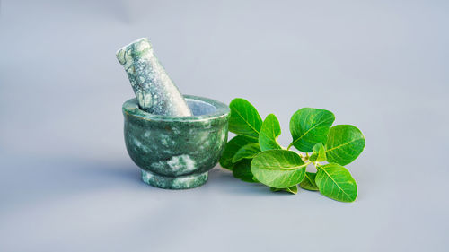 Close-up of mortar and pestle against white background