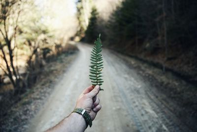 Close-up of hand holding leaf against trees