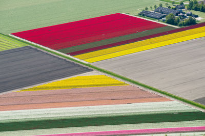 High angle view of multi colored agricultural field