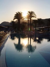 Reflection of palm trees in swimming pool