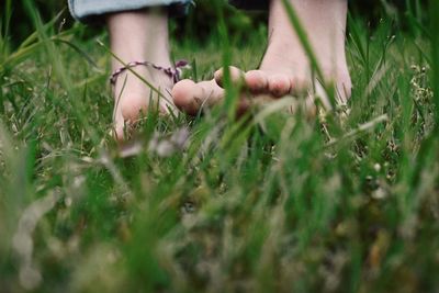 Low section of man playing grass