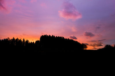 Silhouette of trees at sunset