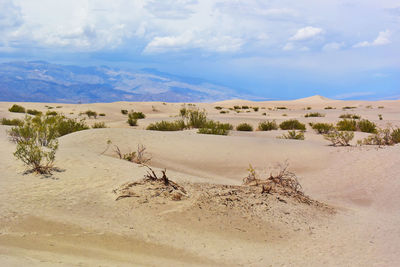 Scenic view of desert against sky