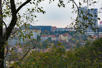 High angle view of trees against sky in city