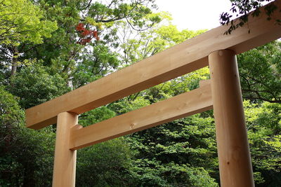 Low angle view of wooden table against trees in forest